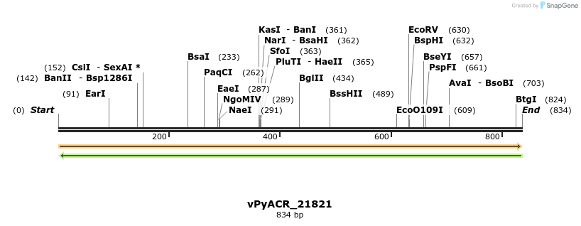 296076_map