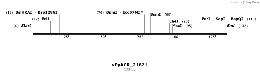 296079_map