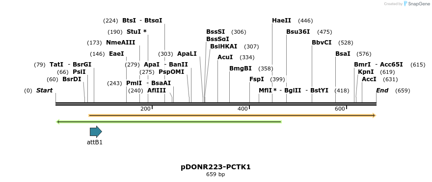 29608_map