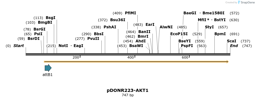 29610_map