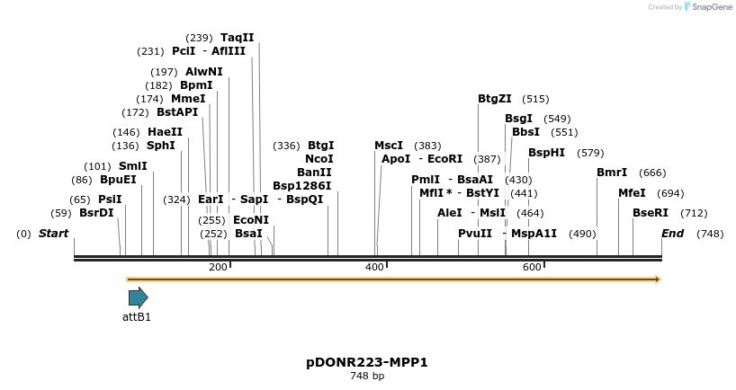 29611_map