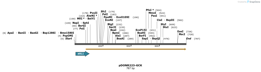 29612_map