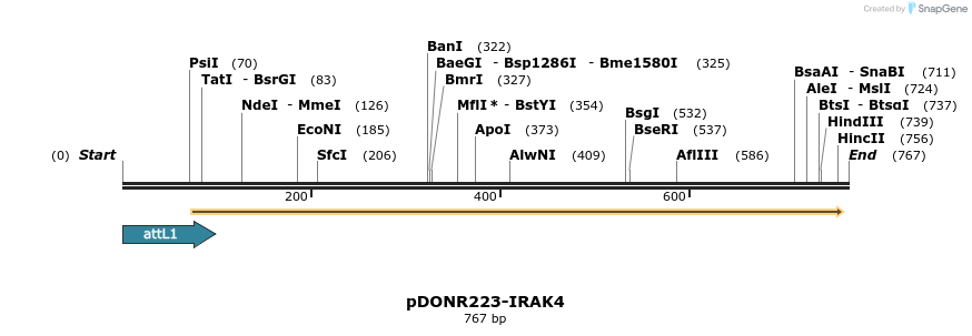 29613_map
