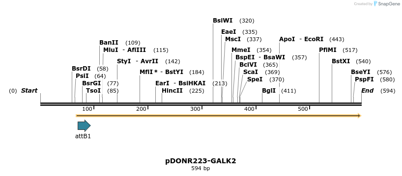29614_map