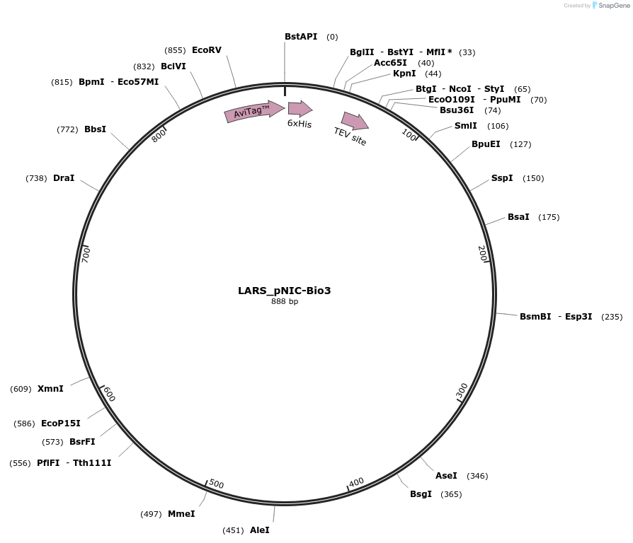 296144_map