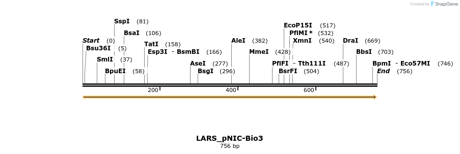 296145_map