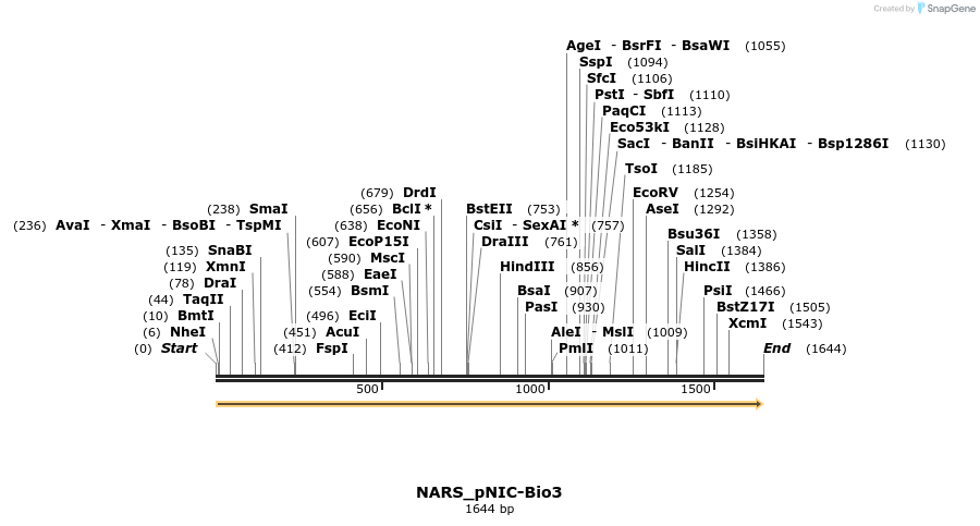 296149_map