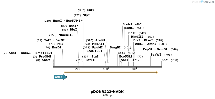 29615_map