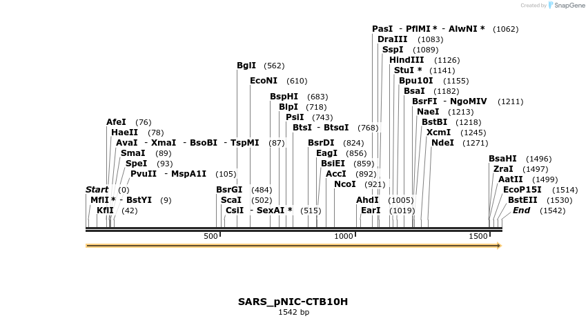 296153_map