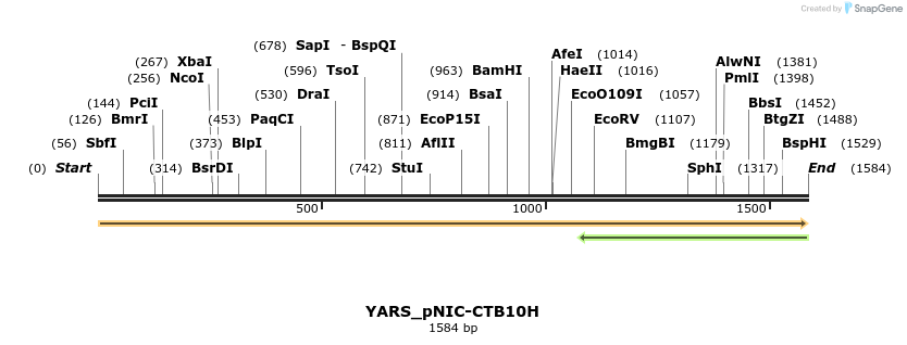 296159_map