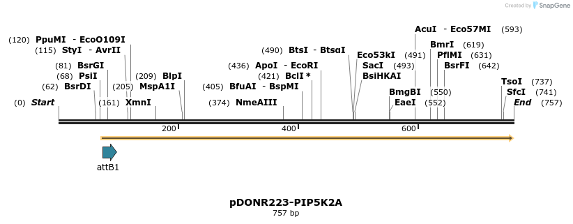 29618_map
