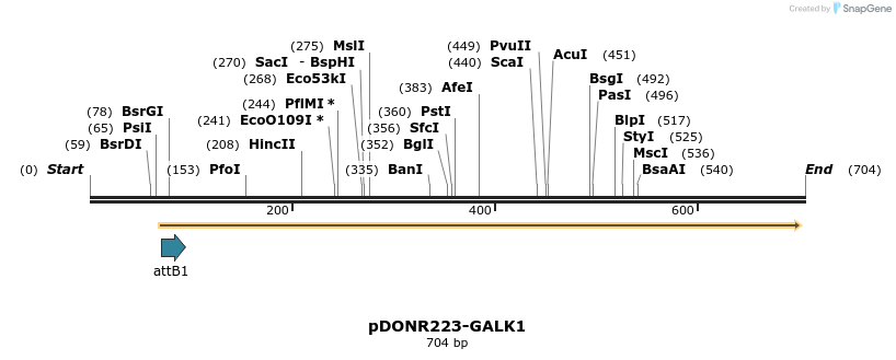 29619_map