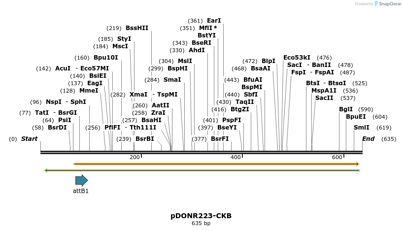 29620_map