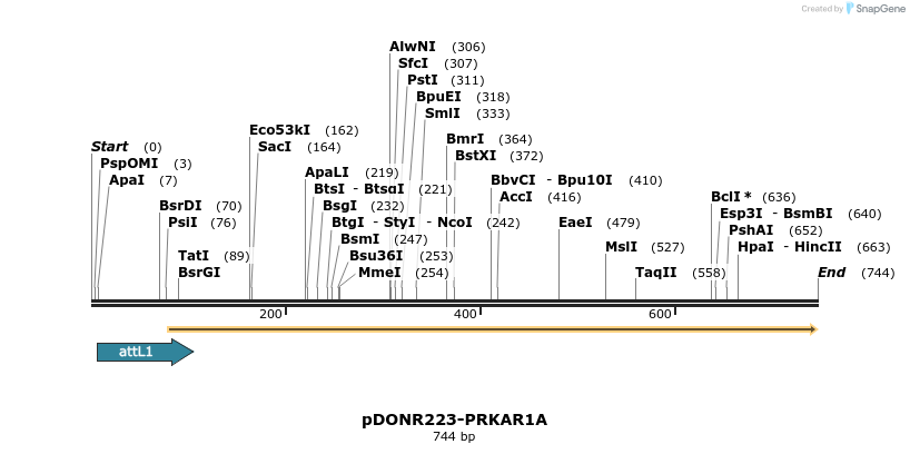 29621_map