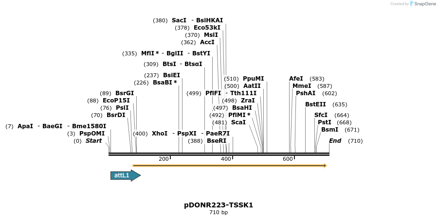 29622_map