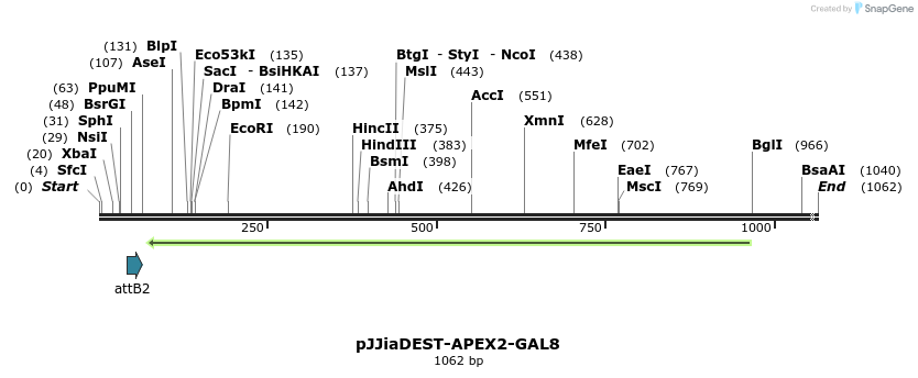 296236_map