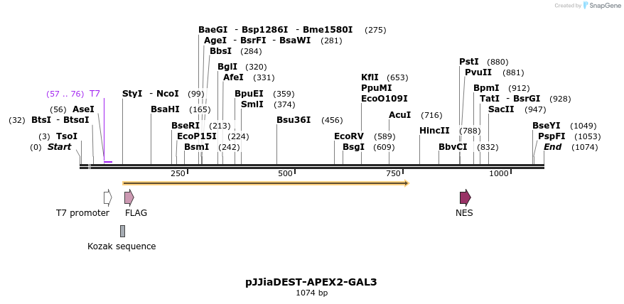 296237_map