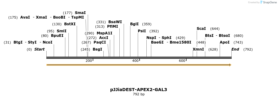 296238_map