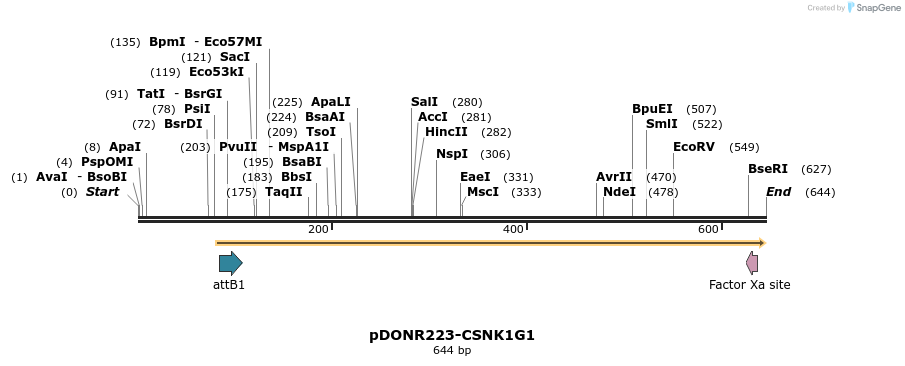 29625_map