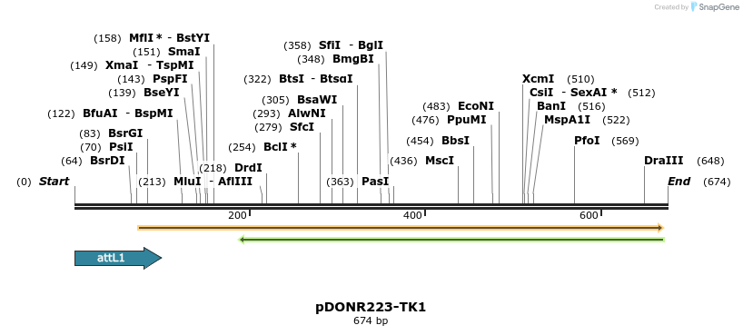 29626_map
