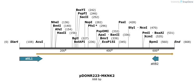 29627_map