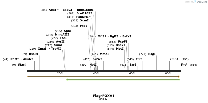 296278_map