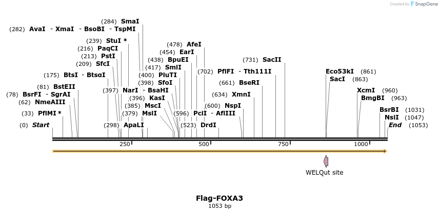 296282_map