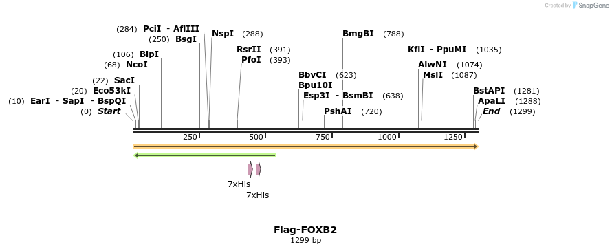 296286_map
