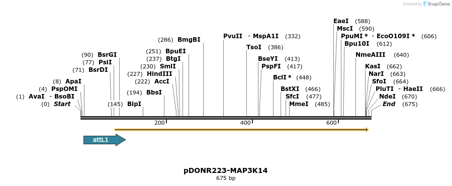 29629_map