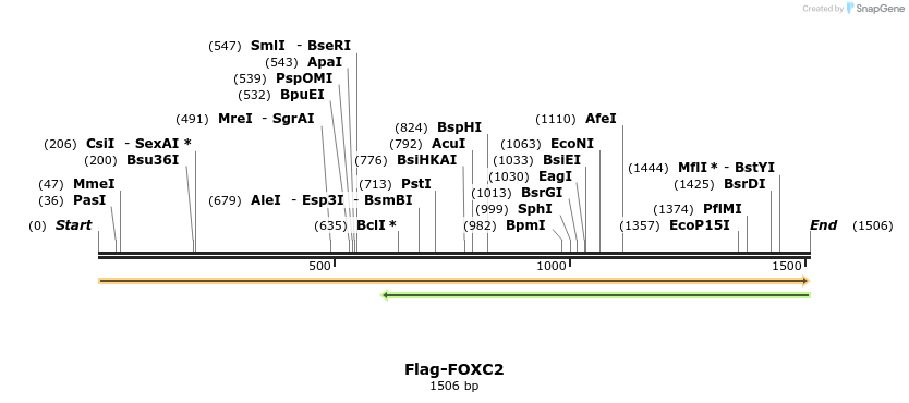 296290_map