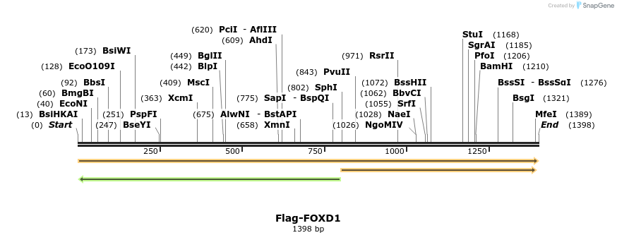 296292_map