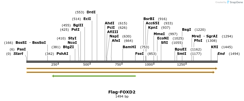 296294_map