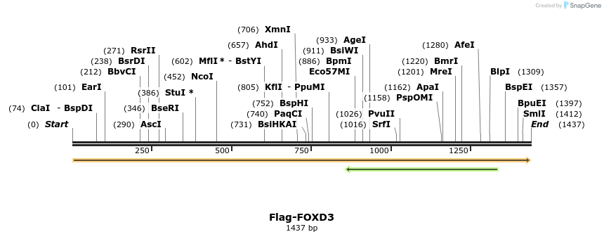 296296_map