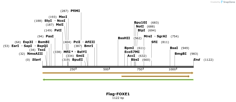 296300_map