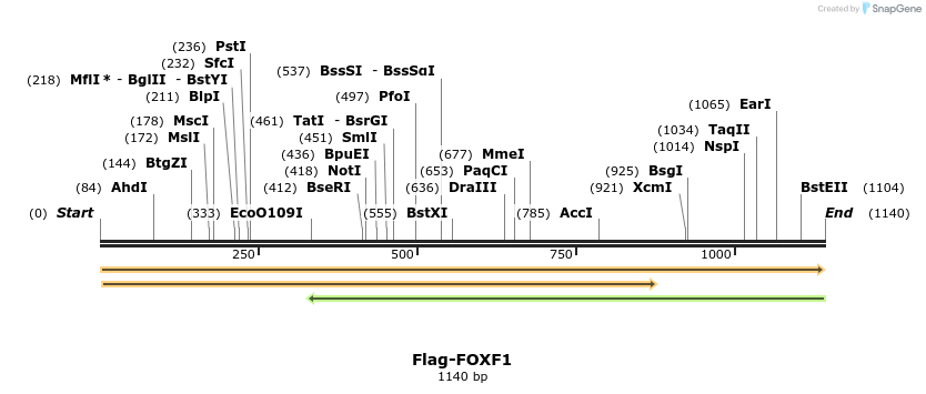 296304_map