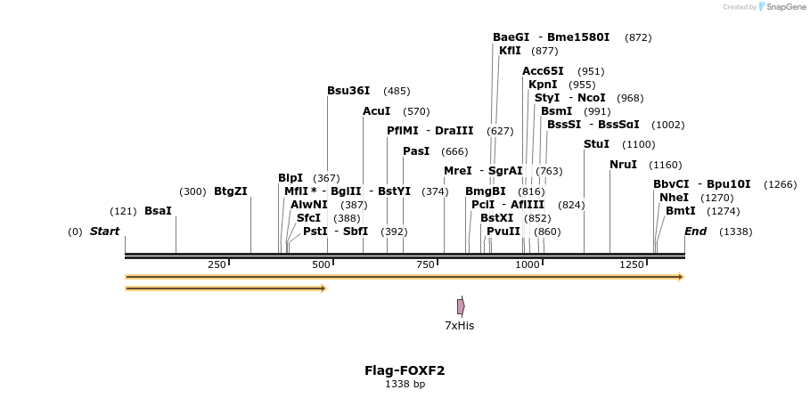 296306_map