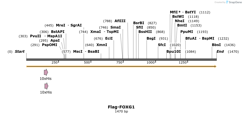 296308_map