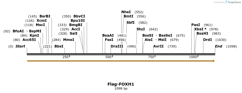 296310_map