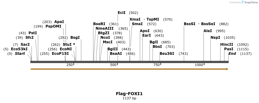 296312_map