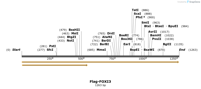 296316_map