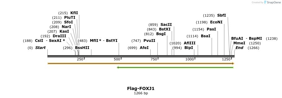296318_map