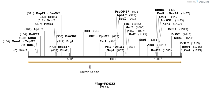 296320_map