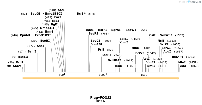 296322_map