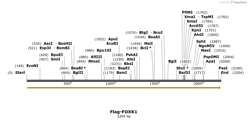 296324_map