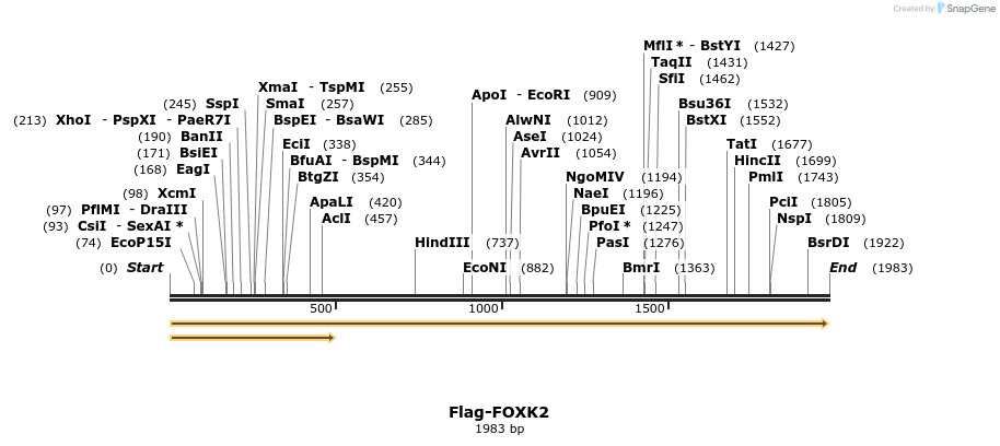 296326_map