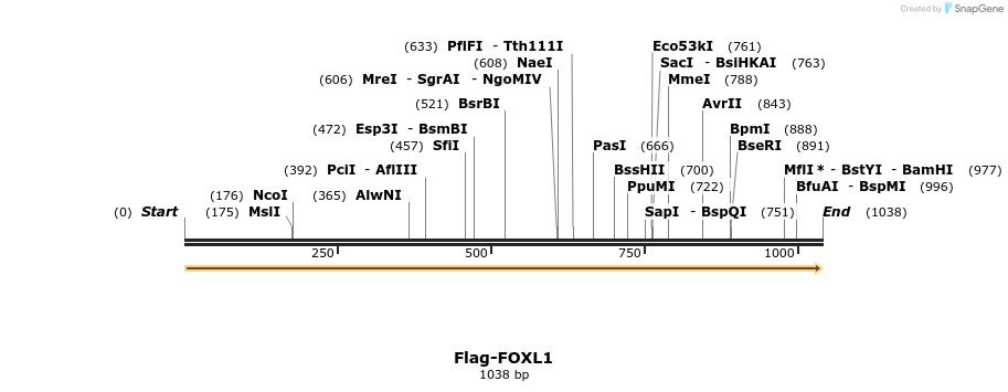 296328_map
