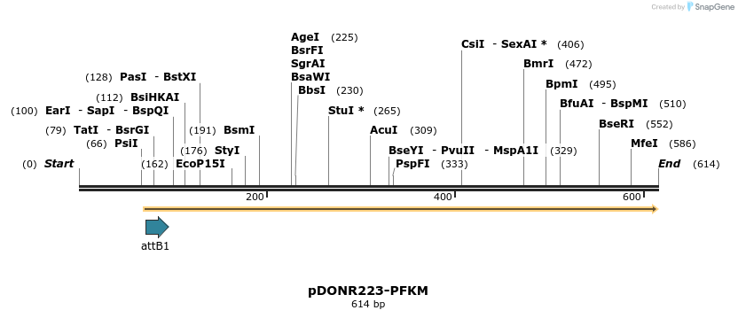 29633_map