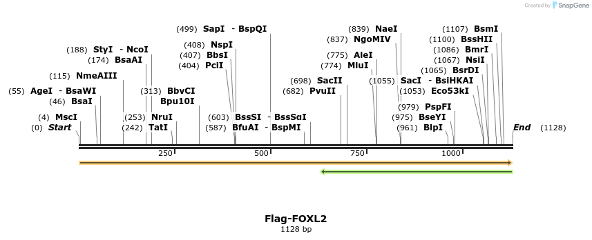 296330_map