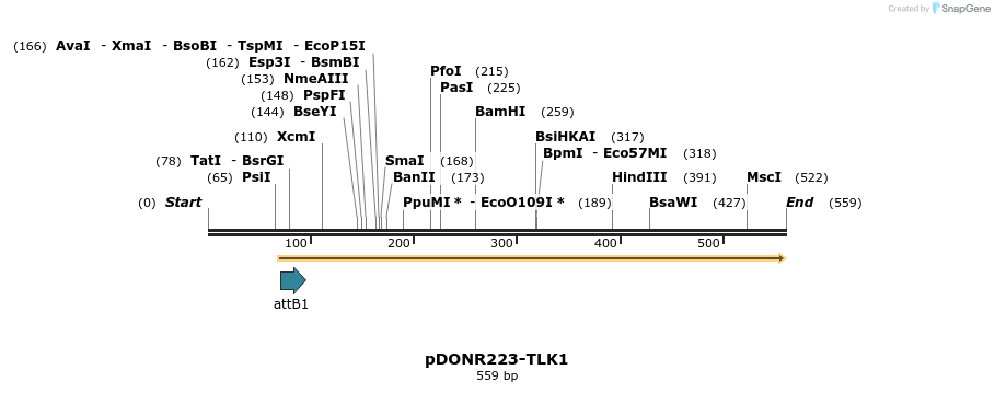 29634_map