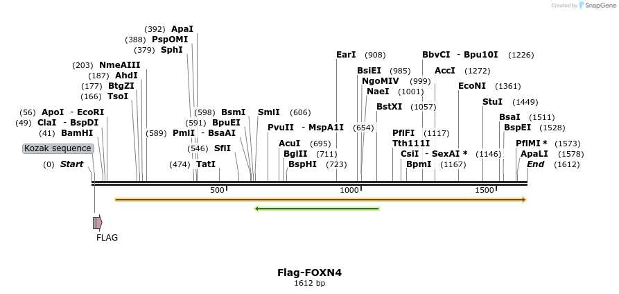 296340_map